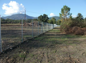 cloture simple torsion et agricole